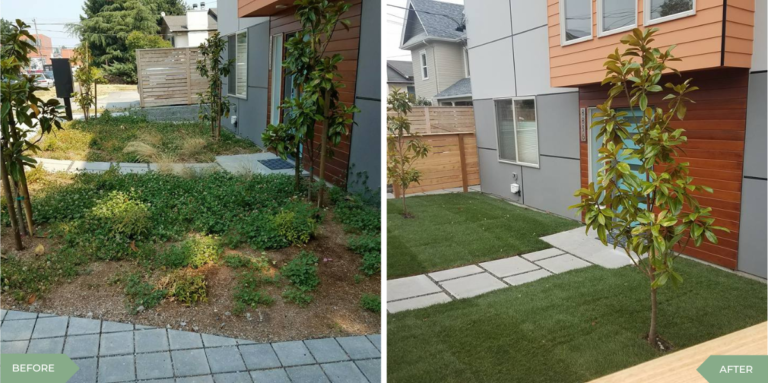 Client Success Stories: Transforming Outdoor Spaces with Alfredo’s Lawn