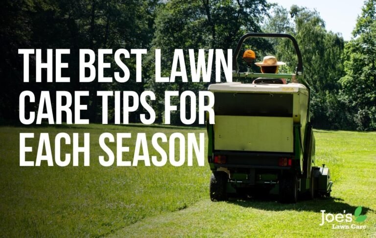 Top 5 Lawn Care Tips for Every Season